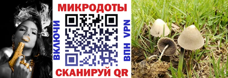 Псилоцибиновые грибы MAGIC MUSHROOMS  где продают   Пролетарск 
